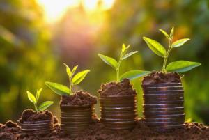 PSIU Educação Corporativa | Planejamento financeiro empresarial: 5 dicas para ter resultado